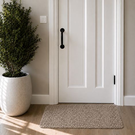 Tapis absorbant Aquastop 60x100cm beige (1/4)