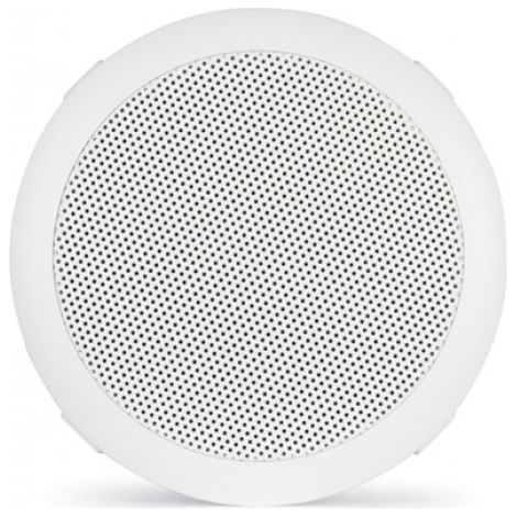 Altavoz Empotrar PA 5in 100V 80W IP65 (1/3)