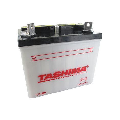 Batteria al Piombo Tashima per Tagliabordo a Zaino 12V, 24A. L: 195, P: 130, H: 185mm, + a Destra. (consegnata senza acido). (u19) - Batteria