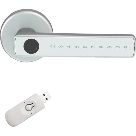 Cerradura de puerta con huella dactilar, conectividad Bluetooth, múltiples métodos de desbloqueo, Money and Gateway (1/2)