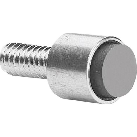 ZF AS101001 Betätigungsmagnet für Reed-Kontakt