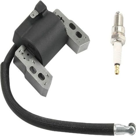 Bobine d'allumage haute tension avec bougie d'allumage, adaptée pour références 796964 695711 555530 557040, pièce de rechange pour moteur (1/4)