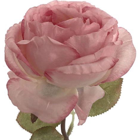 Roses artificielles, roses Princesse Diana aux bords brûlés, grandes roses françaises aux bords frisés, décoration de salon, composition florale pour table à manger, roses artificielles aux bords brûl (1/5)