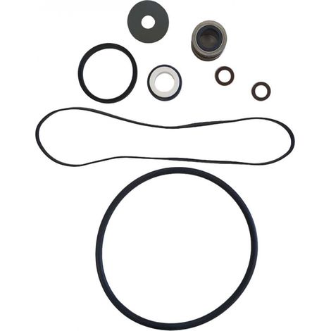 Hayward – Pack de joints pour pompe de piscine – Joint de couvercle SPX3000S – Joint de diffuseur SPX1600R – Joint de corps SPX3000T – Garniture mécanique SPX1600Z2