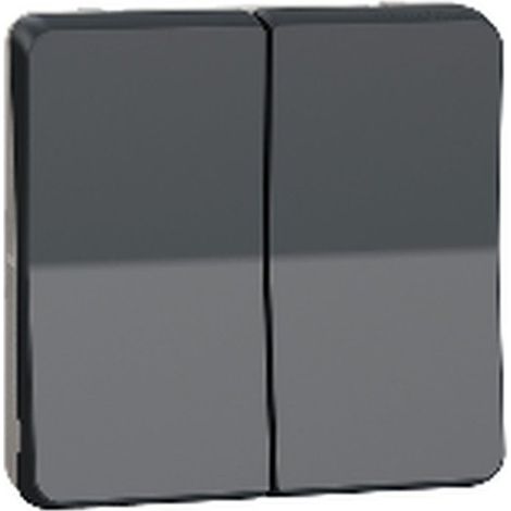 Pulsador MUREVA gris IP55 10 A 250 V AC, 2 elementos basculantes, superficie