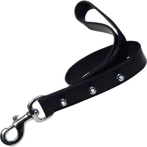 Laisse pour Chien Gloria Noir 60 cm