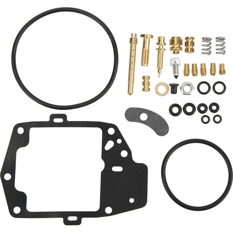 Vergaser-Reparatursatz, 118-teiliger Vergaser-Überholungssatz mit O-Ring, Ventil, Nadel, Düse, Schraube, Feder, Ersatzteil für Goldwing 1000 GL1000