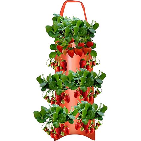 Kulturbeutel Erdbeeranbauer Töpfe zum Anbau von Tomaten