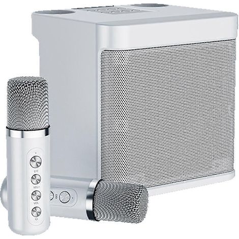 Bluetooth-Lautsprecher mit 2 Mikrofonen für Partys im Innen- und Außenbereich