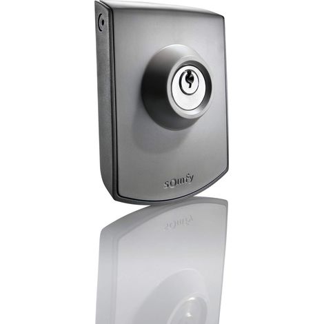 Somfy 2400597 - Comando a chiave cablata Contatto chiave per motore di cancello o garage Contatto secco (1/2)
