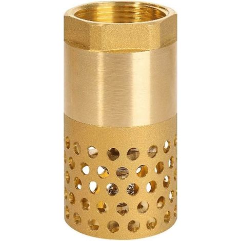 Clapet anti-retour de pompe ZVD-1 pouce - clapet anti-retour de crépine de clapet de pied (1 pouce) (1/3)