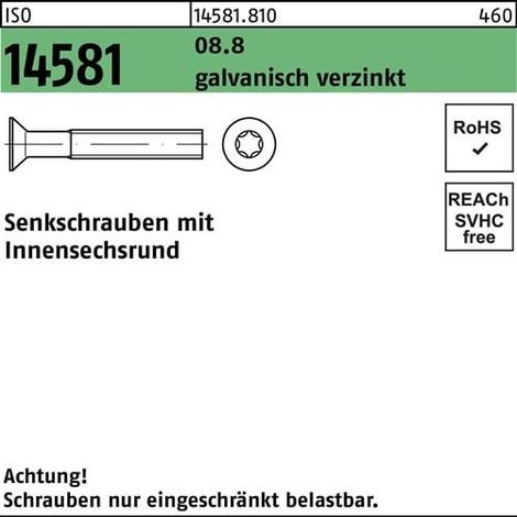 Vis à tête fraisée ISO 14581 ISR M6x10 T30 8.8 galv. 500p.