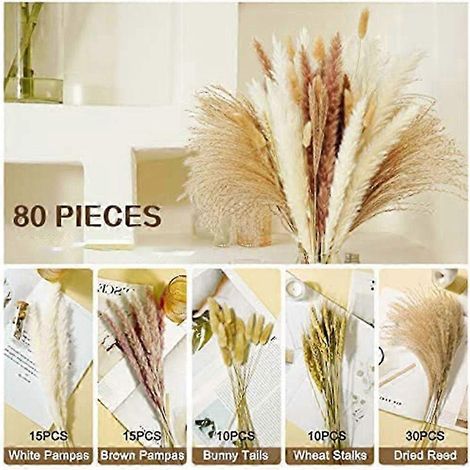 Roseaux d'herbe de la pampa séchés naturels bruns et blancs - Décoration élégante pour compositions florales et bouquets de style bohème (1/4)