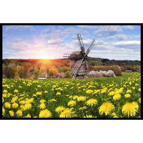 Affiche encadrée moulin à vent dans un champ fleuri