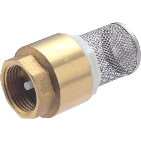 Clapet anti-retour avec filtre inox F26x34 (1') (1/4)