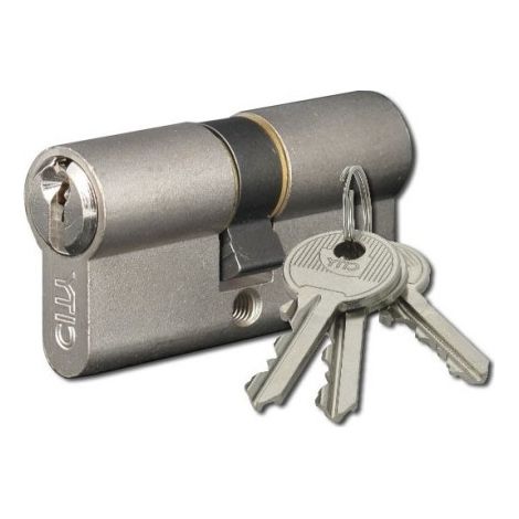 520930409 Cylindre double City varié - 30 x 40 - Laiton nickelé