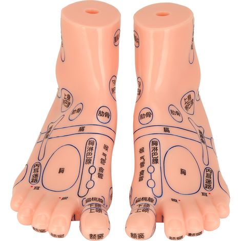 Lot de 2 modèles de pieds humains pour points d'acupuncture, aides pédagogiques destinées aux écoles.