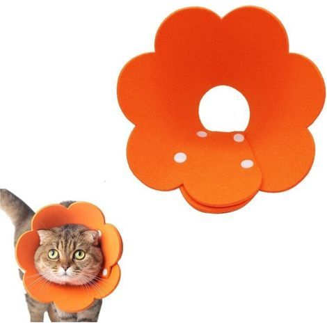 Collier de protection pour animaux de compagnie (1/4)