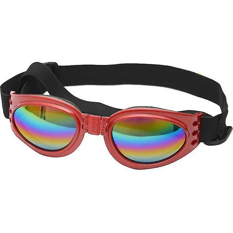 Die neue Hundebrille (1 Stück)