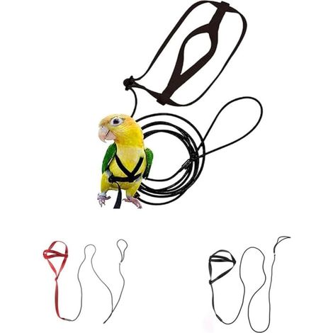 2 Pièces Harnais Oiseau, Laisse Réglable Nylon, Corde Élastique 120cm, Pour Perroquet Petit Et Moyen