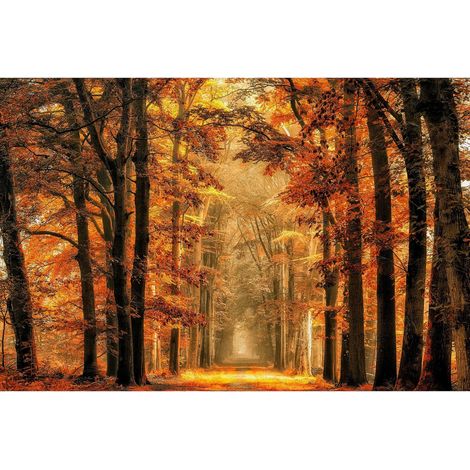 Poster Thème Golden Path - 360 x 270 cm (1/3)