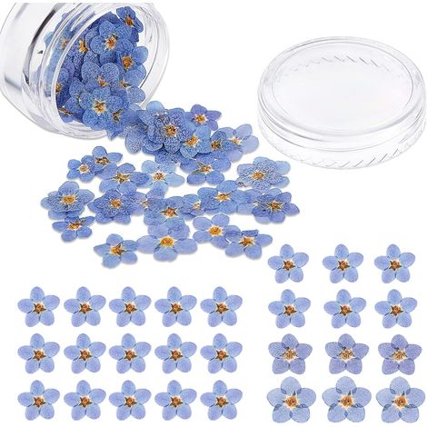 50 flores de nomeolvides secas naturales, flores prensadas reales para resina, tarjetas, velas y uñas.