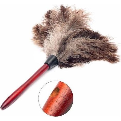 Plumeau en plumes d'autruche Duster Wood Dust Brush Dust Feather (1/5)