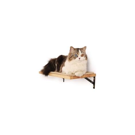 Étagère murale flottante avec tapis à griffer pour chat, 2,8 cm d'épaisseur, étagères suspendues en bois d'hévéa massif, 39,5 x 25,5 cm (1/4)
