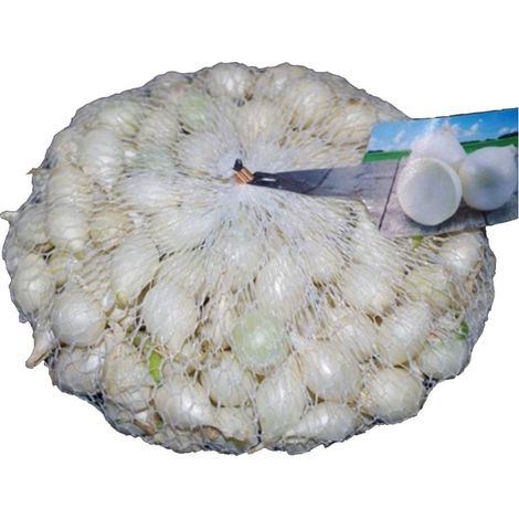 CIPOLLA BIANCA DA INTERRARE (CONFEZIONE DA 500 GR)