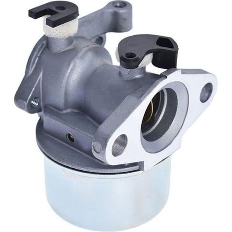 Carburateur - Serie 625 725 - Remplacement Direct - Avec Joint D Etanchéite - Ref 799871 (1/5)