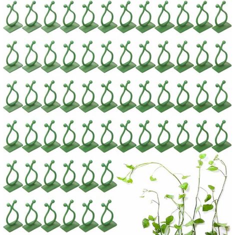 60 Pflanzenclips – Zwei Größen – Geeignet zur Wandmontage – Kletterhilfe – Kabelmanagement – Grün (1/5)
