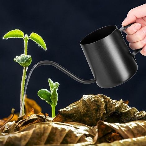Regadera para plantas de interior, 250 ml, negra, mini regadera, acero inoxidable, boquilla larga, regadera para plantas de interior, suculentas