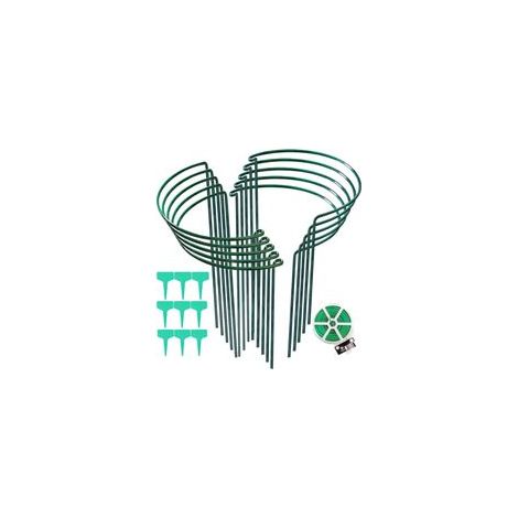 20x35CM，Lot de 10 Tuteurs pour Plantes, Tuteurs Demi-Ronds en Métal pour Plantes de Jardin, Cages et Supports pour Pivoines pour Plantes en Pot, Tomates, Légumes