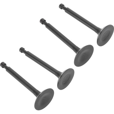 Kit de 2 soupapes d'admission et d'échappement pour culasse 168F, pièces pour générateur à essence GX160/GX200 2-2,5 kW (1/5)