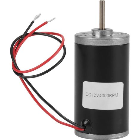 31ZY Permanentmagnet-Gleichstrommotor mit CW/CCW Kohlebürsten (12 V 4000 U/min)