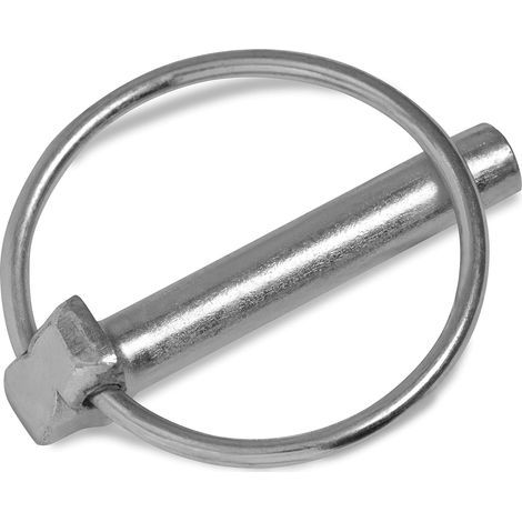 Stifte 6 mm x 45 mm Stifte 6,0 mm [10 Stück] galvanisch verzinkt (1/4)