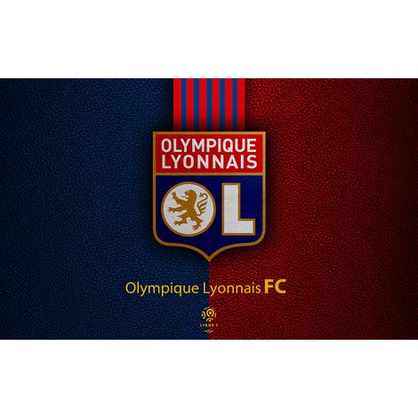 Papier peint panoramique Foot / Football - OL - Olympique Lyonnais - 260 cm x 163 cm (1/2)