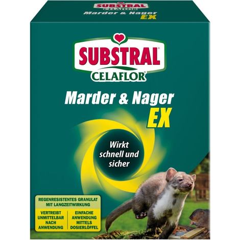 Substral Celaflor Marder & Nager Ex 300 g Schädlingsbekämpfung (1/3)