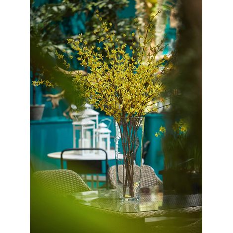 EDG - Forsitzia Rex Ramo Giallo  X7 H120 (1/4)