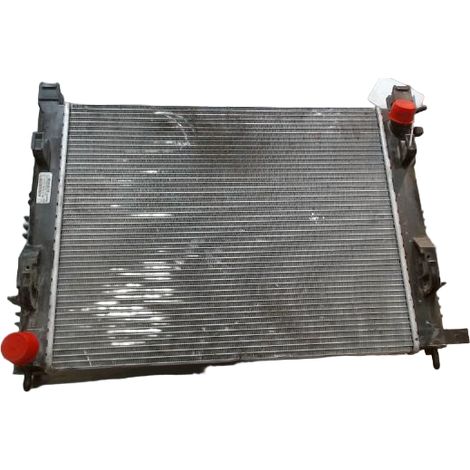 [PRODUIT D'OCCASION] Radiateur RENAULT Clio ♻️ Ref Oe. 214100078r - Garantie à vie (1/4)