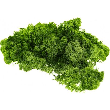 Muschio Nordico colorato decorazione per presepe natalizio da 1,5 kg -Verde Mela (1/2)