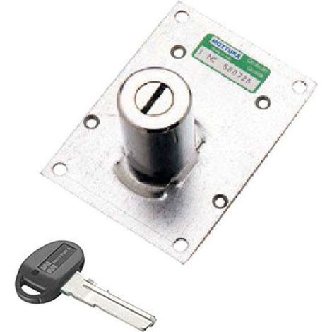 Cylindre de pompe C10 mm 50 D 30 91167 Mottura