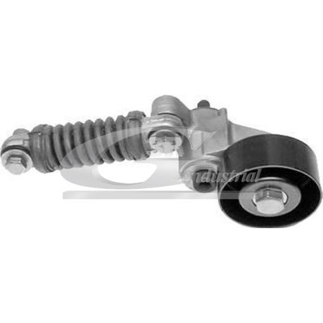 3RG 13636 RODILLO TENSOR