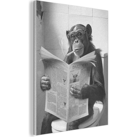 CUADRO ACÚSTICO Mono - WC - Periódico - Blanco y negro - Humor Cuadros de Pared 70x100 (1/5)