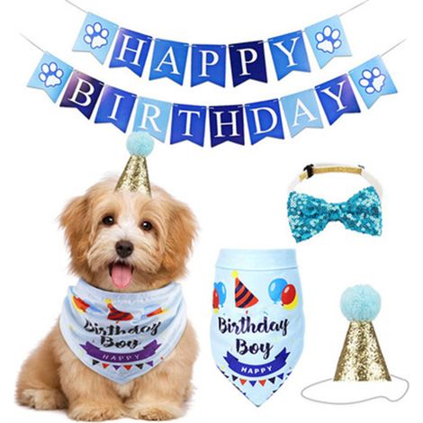 Fournitures pour fête d'anniversaire de chien : chapeau d'anniversaire pour animal de compagnie et bandana pour chien mâle