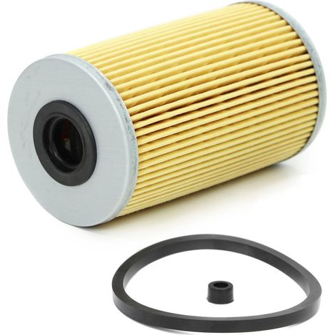 Filtro de combustible Nissan Opel Renault (1/4)