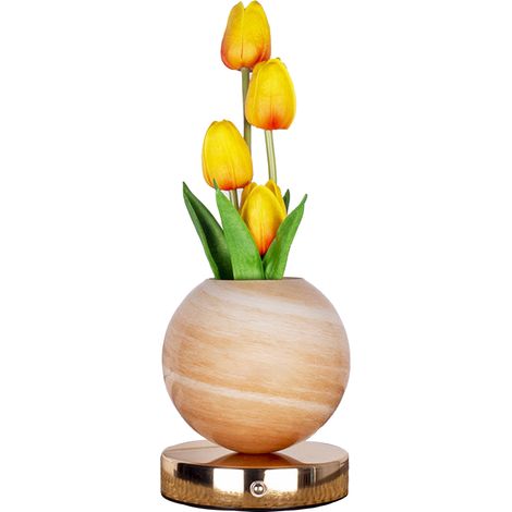 Veilleuse Tulipe Lampe de Table Bouquet Simulé Lumière d'Ambiance Décorative Rechargeable USB Orange Pot Jaune Variation Tricolore Continue (1/5)