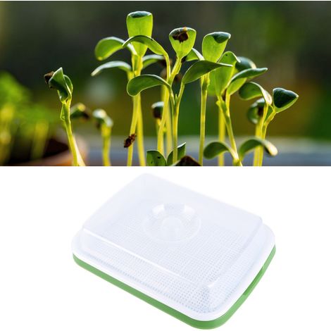 [Germoir] Bac de Germination Kit de Culture sans Sol avec Couverture Transparente et Trouages Denses 2 Plateaux 2 Couvercles [Plastique Haute Qualité] [600g 33x26cm] (1/5)