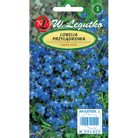Semi di Lobelia del Capo, Lobelia Blu