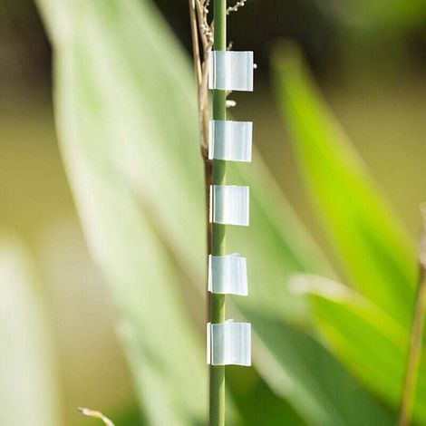 100 pcs Clips de greffage de plantes spéciales - Pince de greffage de plantation de tomates Clip de greffage d'aubergine - Clips de support en plastique à ressort (1/4)